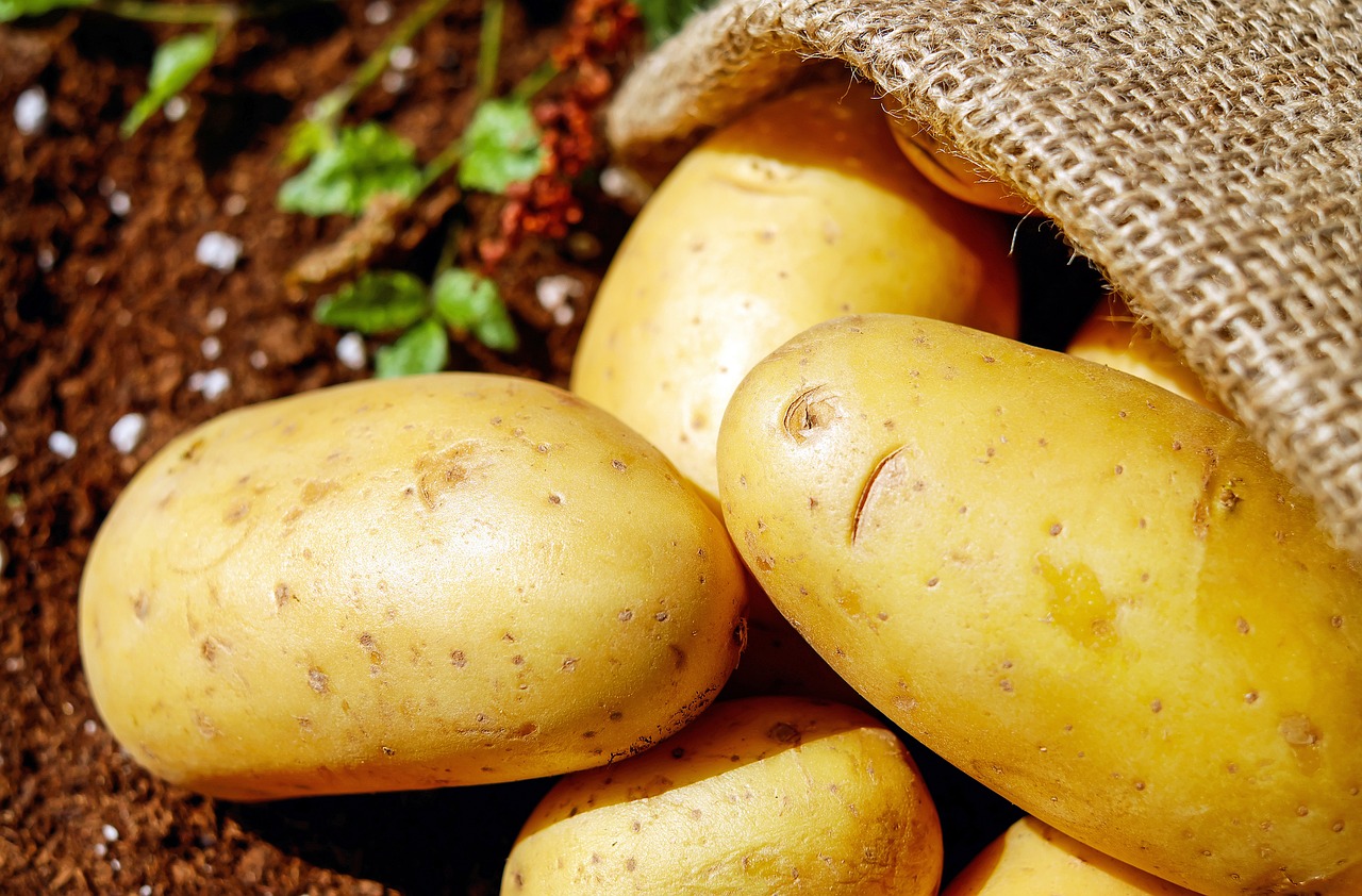 potatoes-1585060_1280